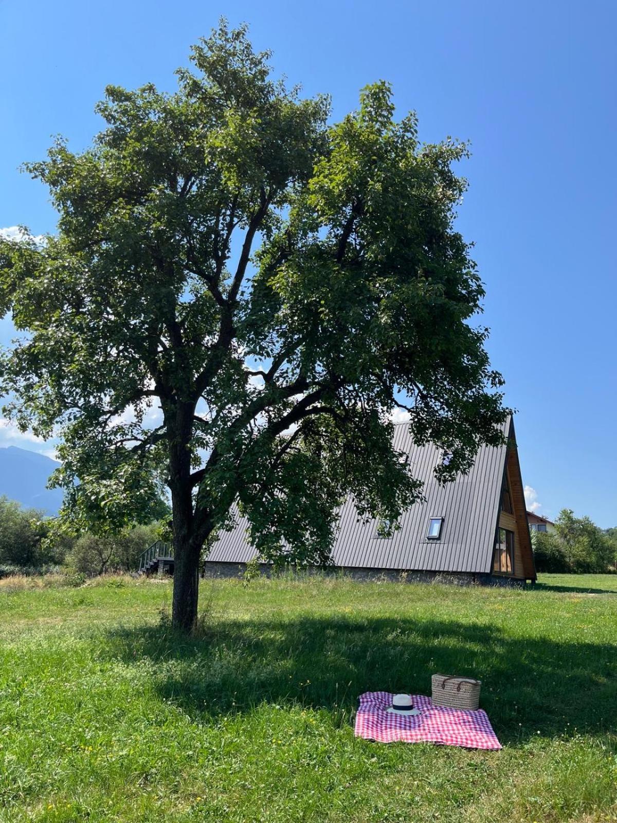 Vino Chalets Bran Sohodol  Exterior photo